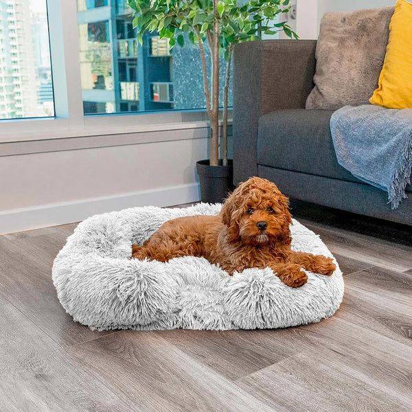 Calming Dog Bed with Memory Foam