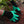 Gardening Gloves With Claws