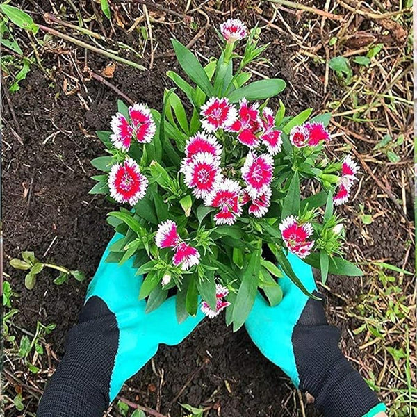 Gardening Gloves With Claws