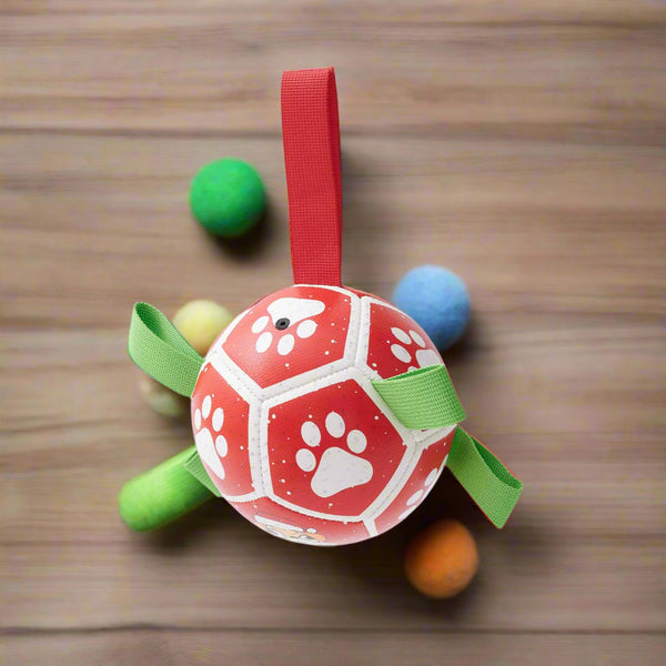 Dog Toy | Zoomie Balls