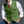 Herbert | Men's Vintage Style Vest