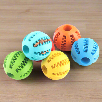 Interactive Dog Bouncing Ball Toy