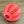 Interactive Dog Bouncing Ball Toy