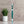 Three Sided Pet Toothbrush