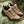 Eliser | Comfortable Men's Hiking Shoes