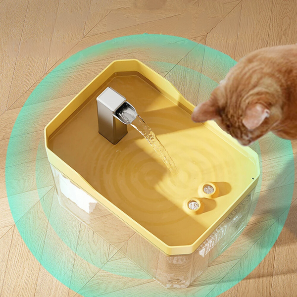 Pet Drinking Bowl