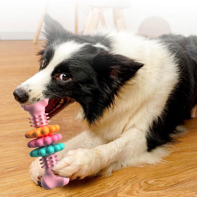 Dog Chew Chase Bone Toy