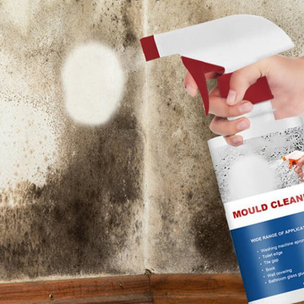 UltraClean – Anti-Mold Foam – Removes Mildew & Soap Scum