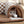 2-in-1 Cat Tunnel Bed