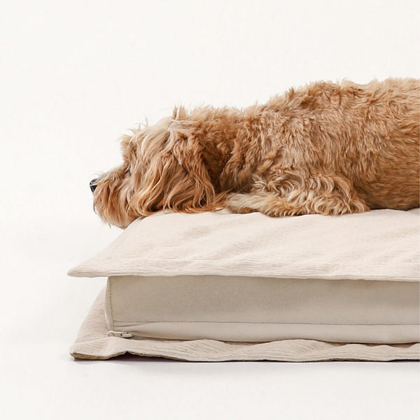 Cozy Calming Dog Bed