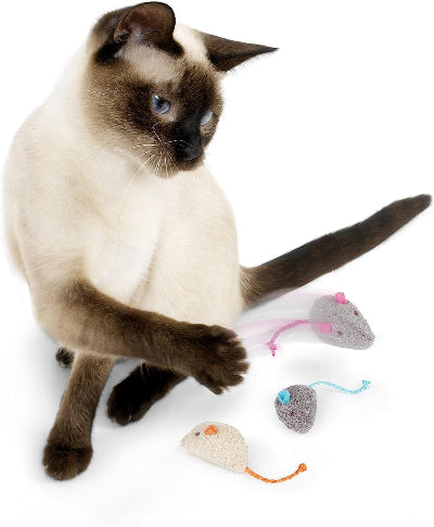 Catnip Cat Toys (3 Pieces)