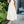 ZINNIA | Versatile Midi Dress